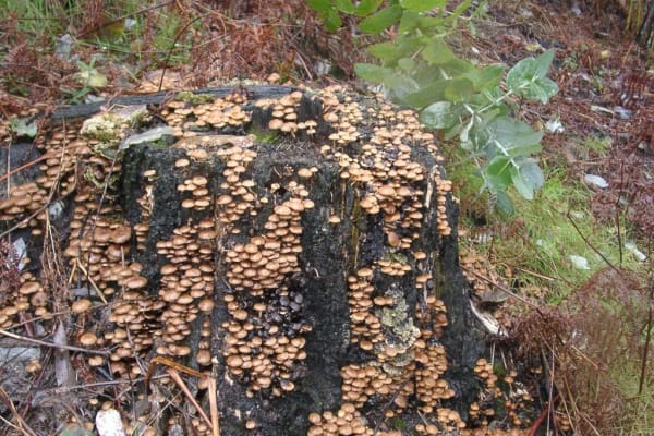 Foto 3 da atividade Galeria de Fotos