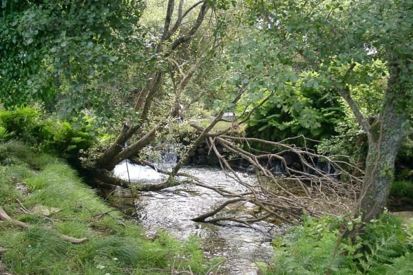 Foto 128 da atividade Galeria de Fotos