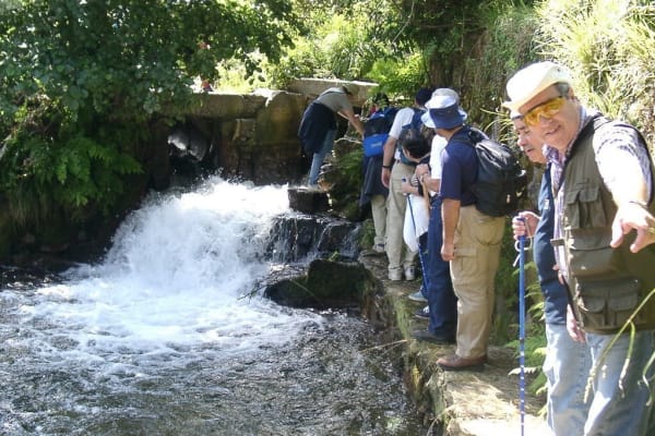 Foto 125 da atividade Galeria de Fotos