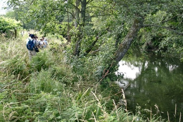 Foto 123 da atividade Galeria de Fotos