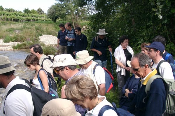 Foto 120 da atividade Galeria de Fotos