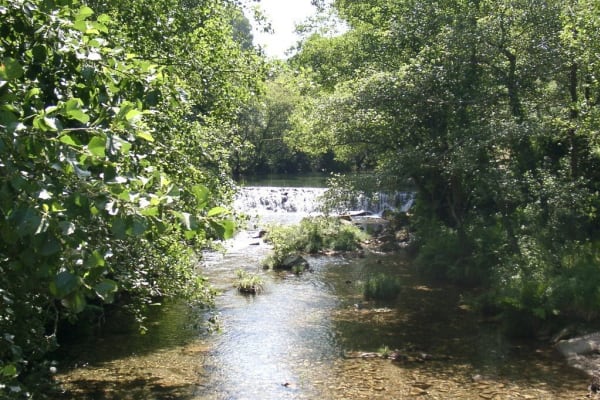 Foto 110 da atividade Galeria de Fotos