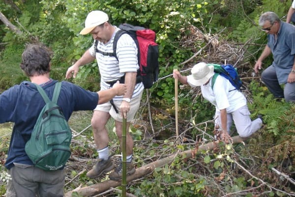 Foto 106 da atividade Galeria de Fotos