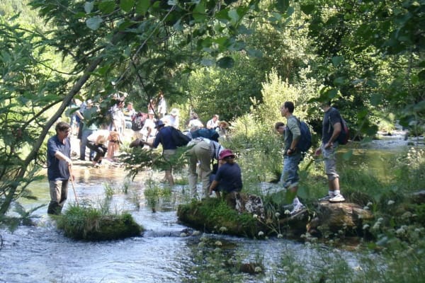 Foto 105 da atividade Galeria de Fotos