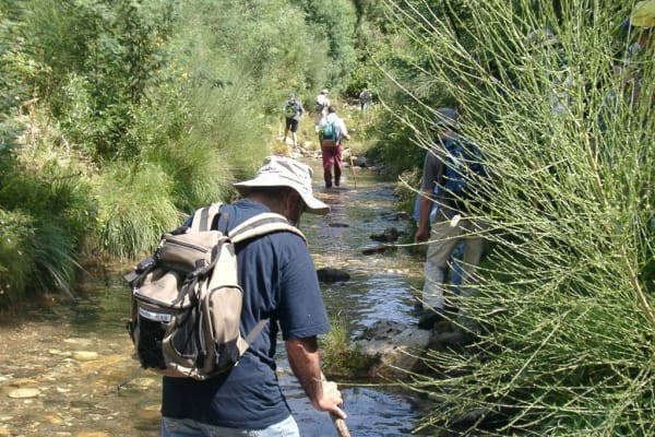 Foto 95 da atividade Galeria de Fotos