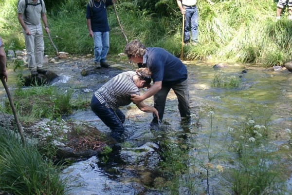 Foto 86 da atividade Galeria de Fotos