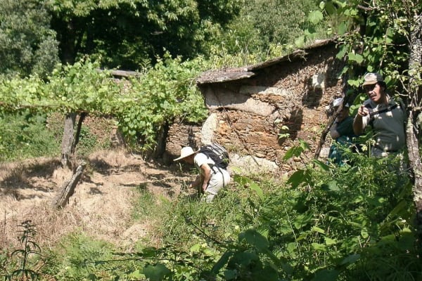 Foto 59 da atividade Galeria de Fotos