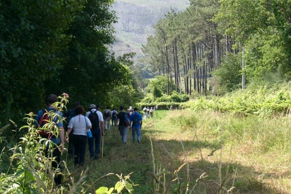 Foto 56 da atividade Galeria de Fotos