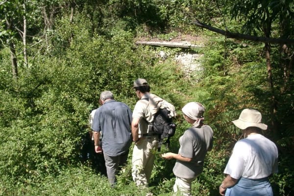 Foto 47 da atividade Galeria de Fotos