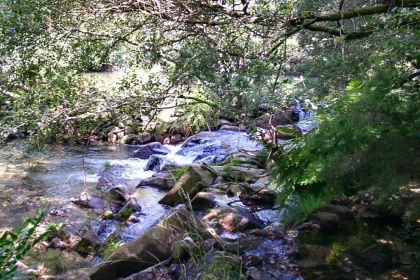 Foto 30 da atividade Galeria de Fotos