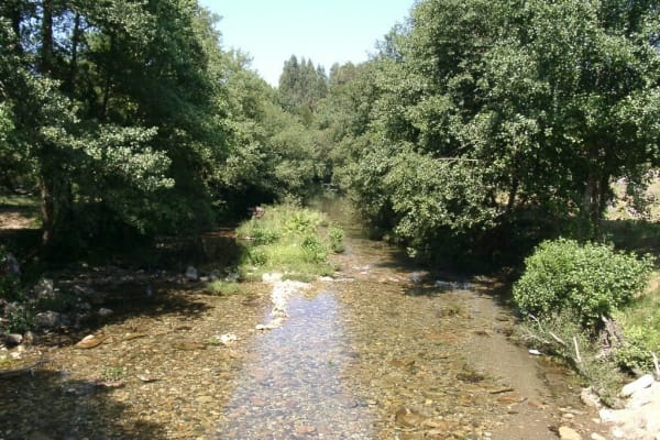 Foto 26 da atividade Galeria de Fotos