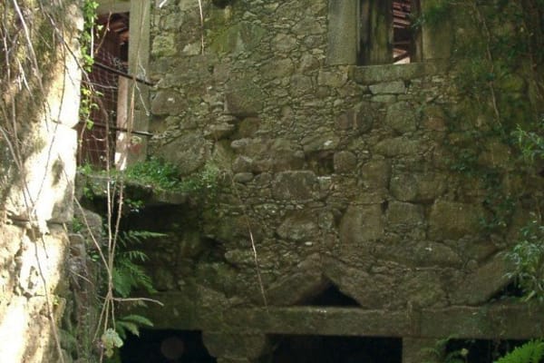 Foto 15 da atividade Galeria de Fotos