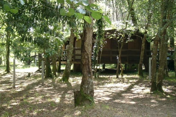 Foto 13 da atividade Galeria de Fotos