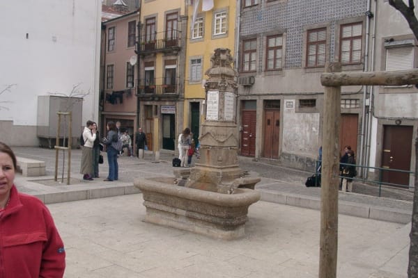 Foto 140 da atividade Galeria de Fotos