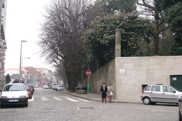 Foto 135 da atividade Galeria de Fotos