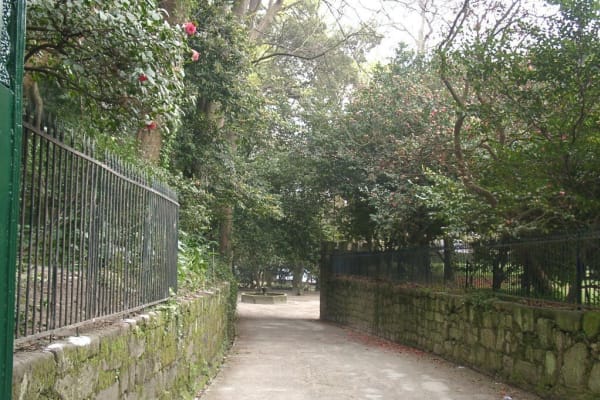 Foto 117 da atividade Galeria de Fotos