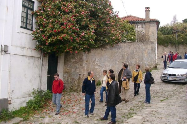 Foto 28 da atividade Galeria de Fotos