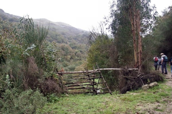 Foto 161 da atividade Galeria de Fotos