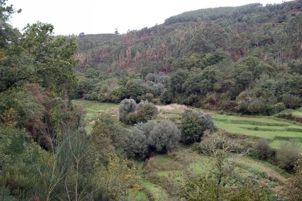 Foto 153 da atividade Galeria de Fotos