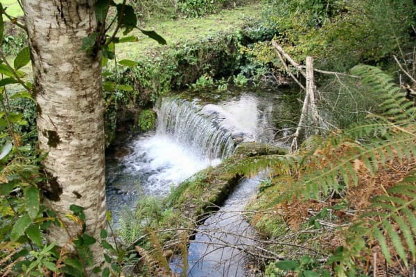 Foto 106 da atividade Galeria de Fotos