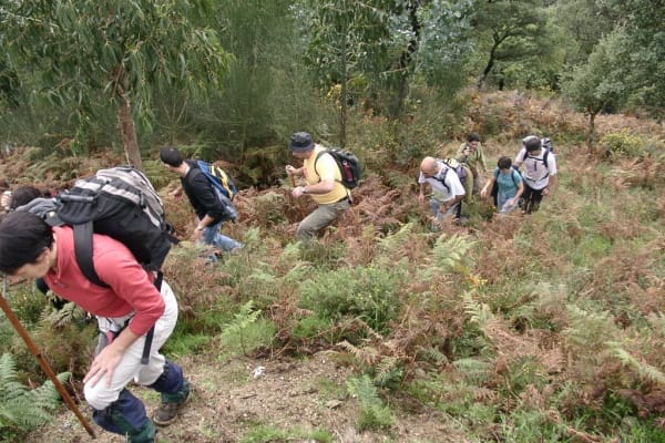 Foto 31 da atividade Galeria de Fotos