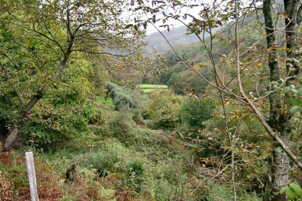 Foto 16 da atividade Galeria de Fotos