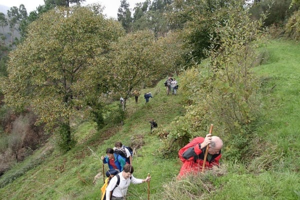 Foto 15 da atividade Galeria de Fotos