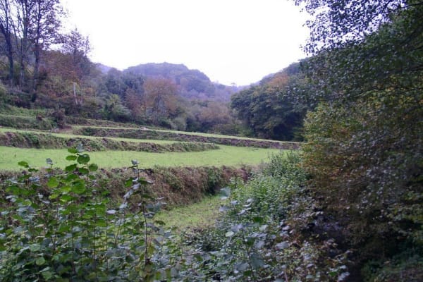 Foto 13 da atividade Galeria de Fotos