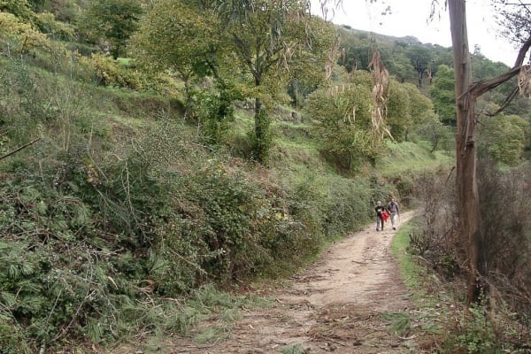 Foto 12 da atividade Galeria de Fotos