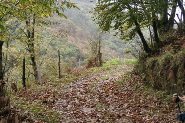 Foto 11 da atividade Galeria de Fotos