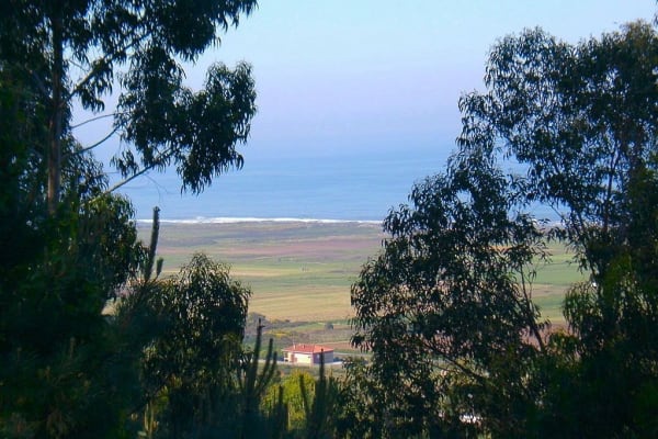 Foto 160 da atividade Galeria de Fotos