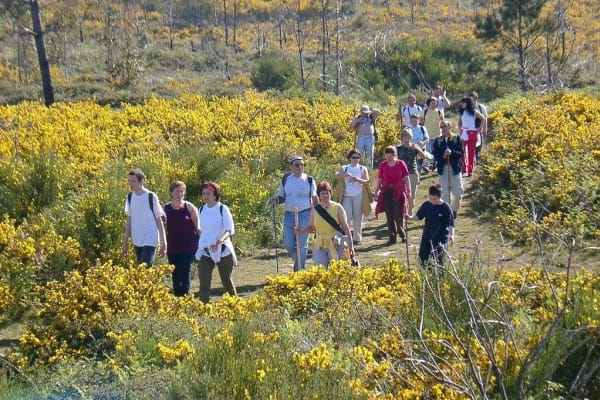 Foto 158 da atividade Galeria de Fotos