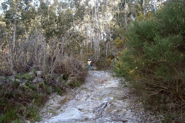 Foto 143 da atividade Galeria de Fotos