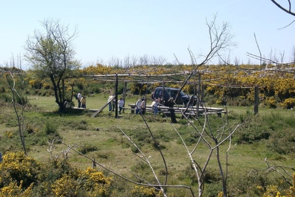 Foto 105 da atividade Galeria de Fotos