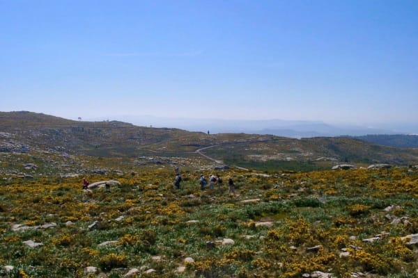 Foto 88 da atividade Galeria de Fotos