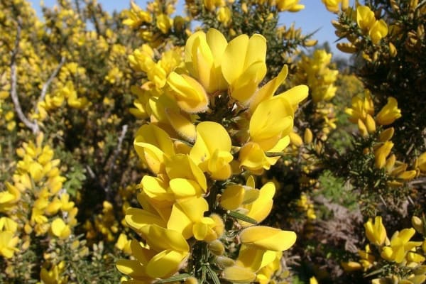 Foto 87 da atividade Galeria de Fotos