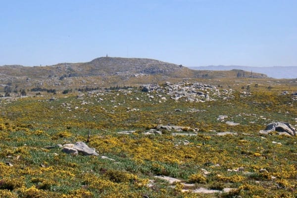 Foto 85 da atividade Galeria de Fotos