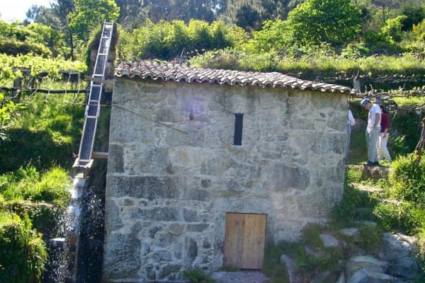 Foto 1 da atividade Galeria de Fotos