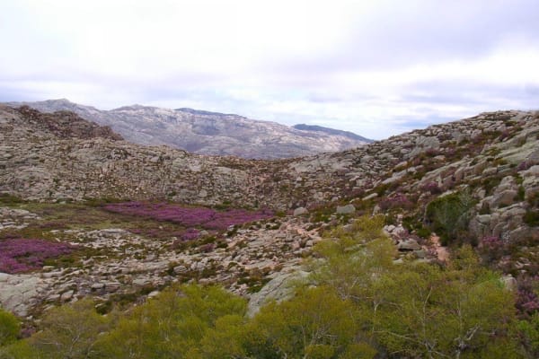 Foto 90 da atividade Galeria de Fotos