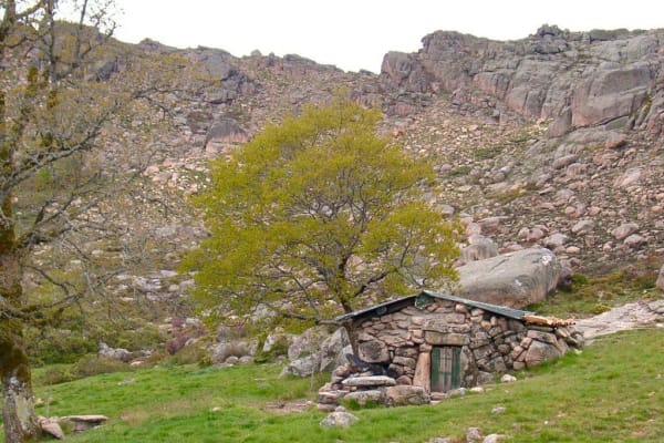 Foto 83 da atividade Galeria de Fotos