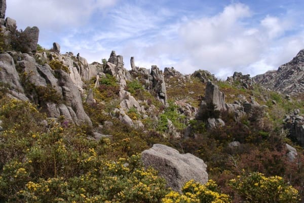 Foto 61 da atividade Galeria de Fotos