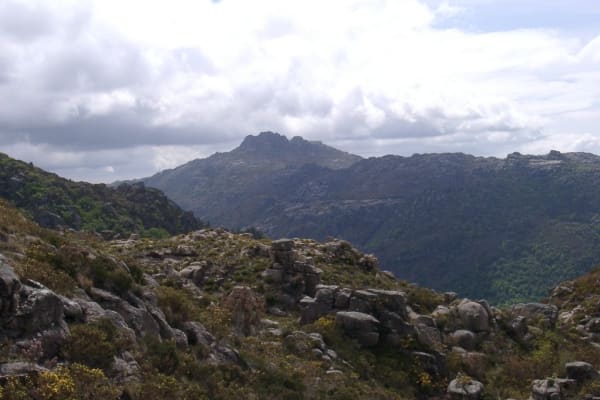 Foto 60 da atividade Galeria de Fotos