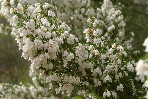 Foto 53 da atividade Galeria de Fotos