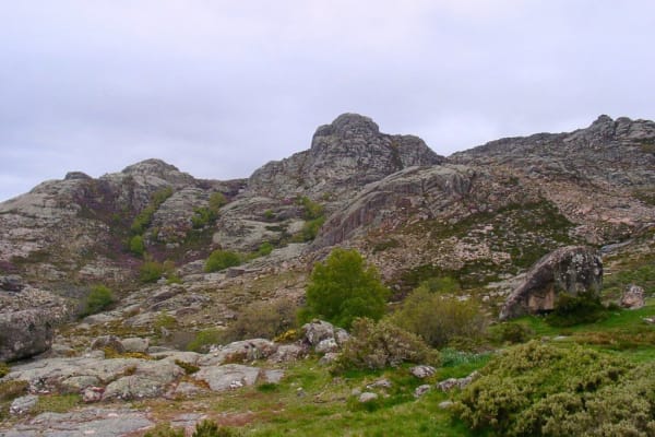 Foto 50 da atividade Galeria de Fotos