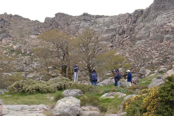 Foto 40 da atividade Galeria de Fotos