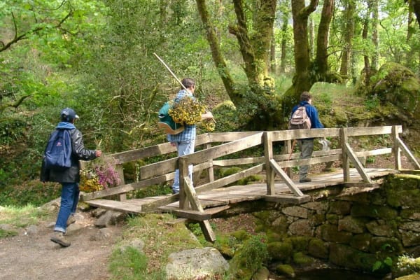 Foto 30 da atividade Galeria de Fotos