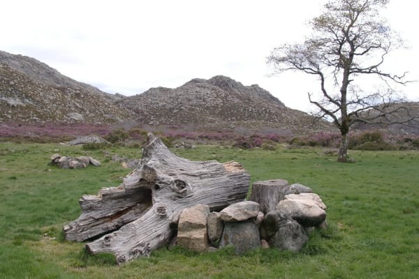 Foto 28 da atividade Galeria de Fotos