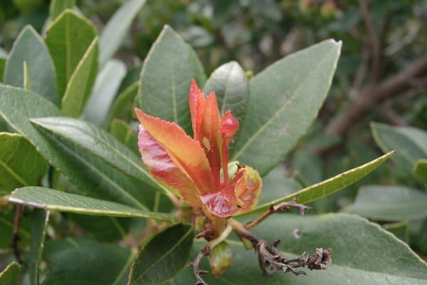 Foto 26 da atividade Galeria de Fotos