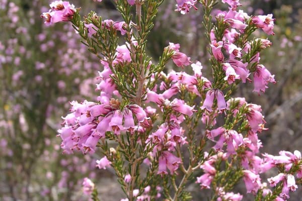 Foto 7 da atividade Galeria de Fotos