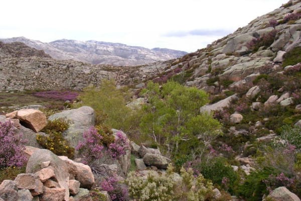 Foto 4 da atividade Galeria de Fotos